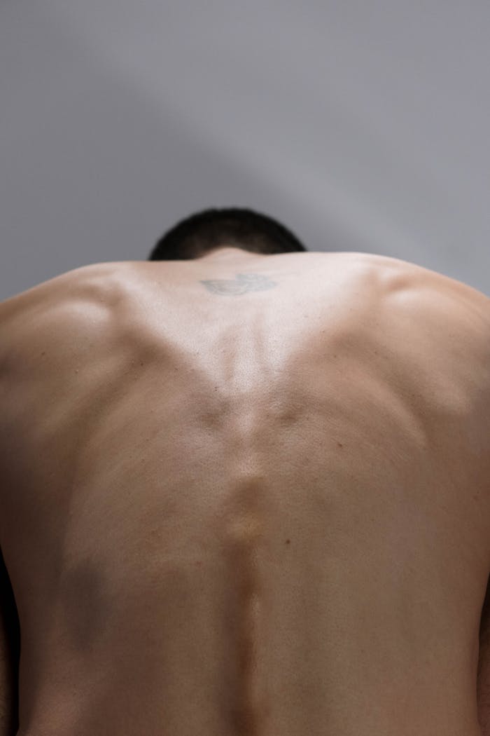 A detailed vertical close-up shot of a muscular male back showcasing a tattoo under soft lighting.